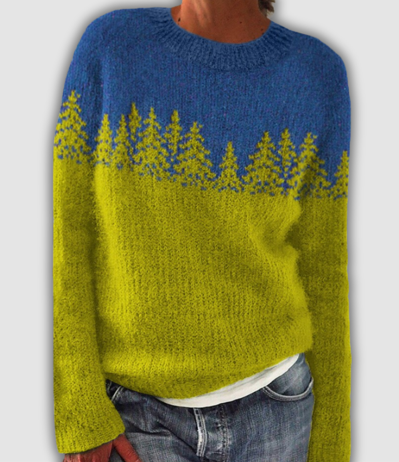 THE ELYRA | RETRO SWEATER
